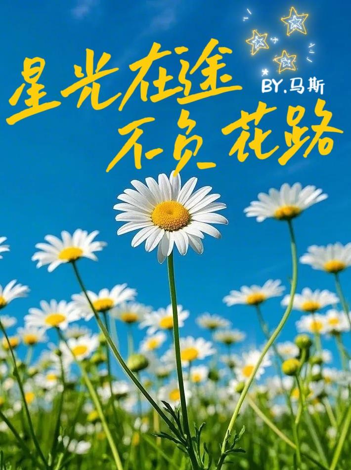 权G龙星光在途不负花路
