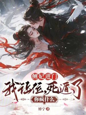 侧妃进门我让位死遁了你疯什么